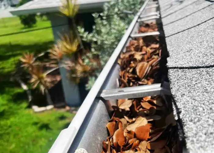 Gutter Cleaning Hollywood FL home page